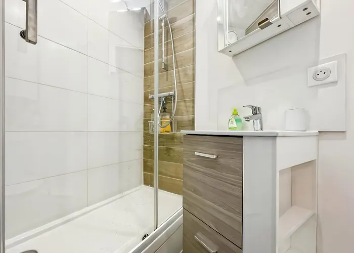 Apartment Le Grammont 2 Pieces Tours